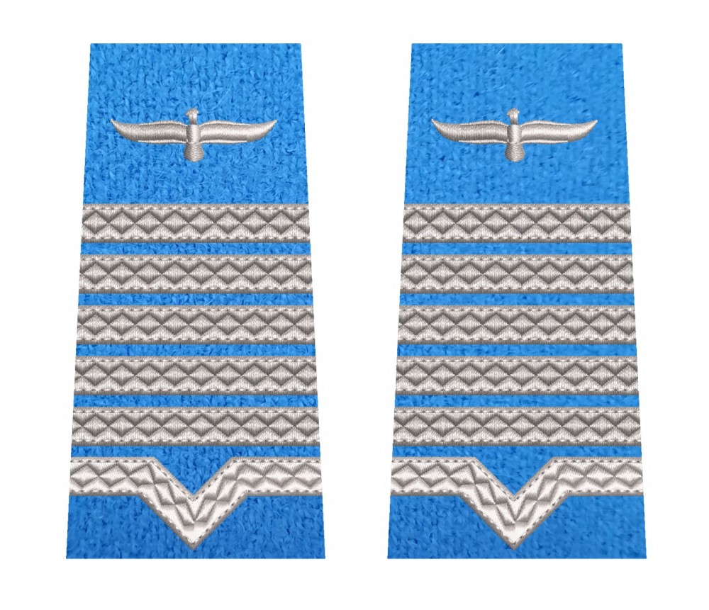 GRADE MAISTRU MILITAR PRINCIPAL FORTE AERIENE